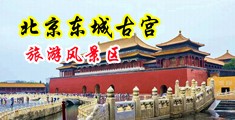 打几把插逼视频中国北京-东城古宫旅游风景区